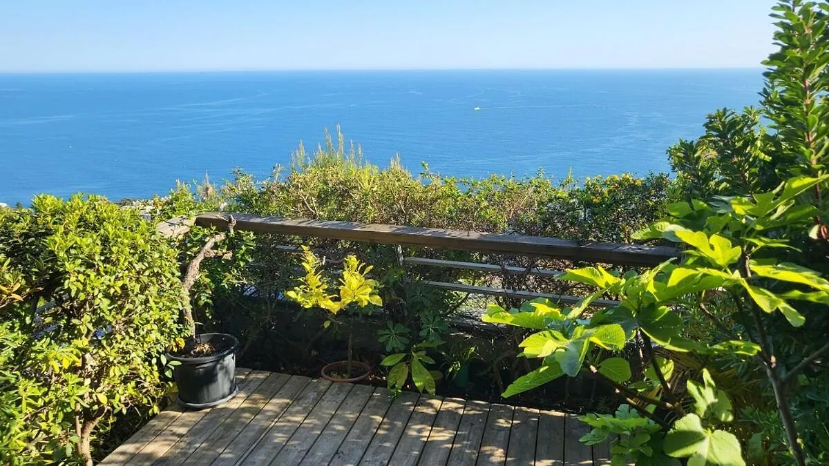 Costa Plana Apartment With Terrace And Sea View Cap-d'Ail