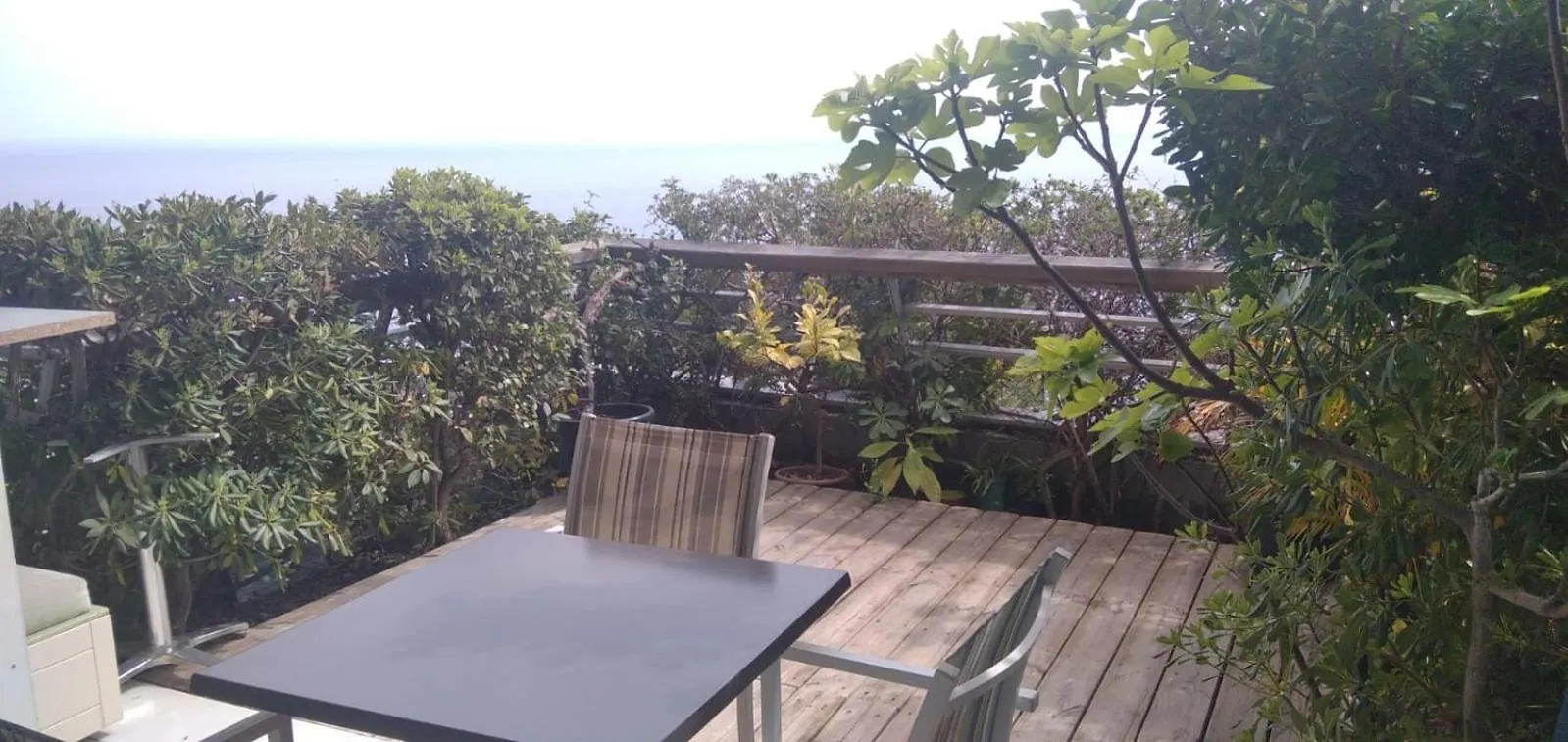 Costa Plana Apartment With Terrace And Sea View Cap-d'Ail